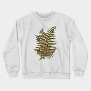 Fern Leaves in the Forest (military green) Crewneck Sweatshirt